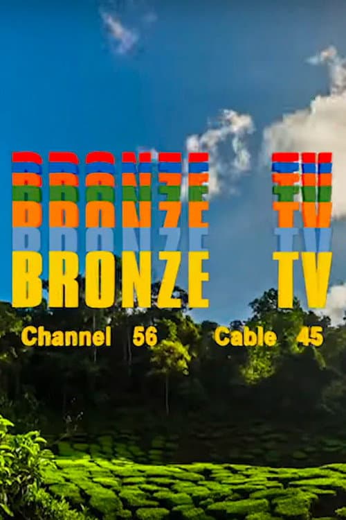 Bronze 56K - 2020 (2020) poster