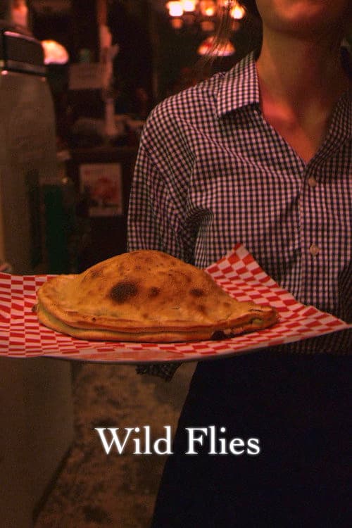 Wild Flies (2016) poster