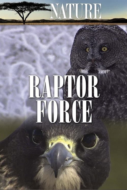 Raptor Force (2007) poster