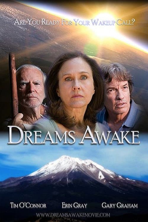 Dreams Awake (2011) poster