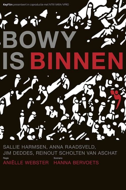Bowy is binnen (2012) poster
