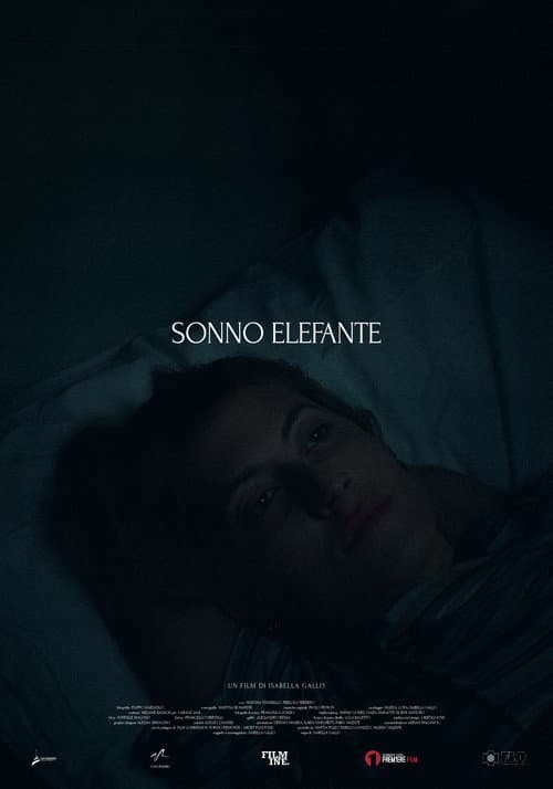 Sonno Elefante (2025) poster