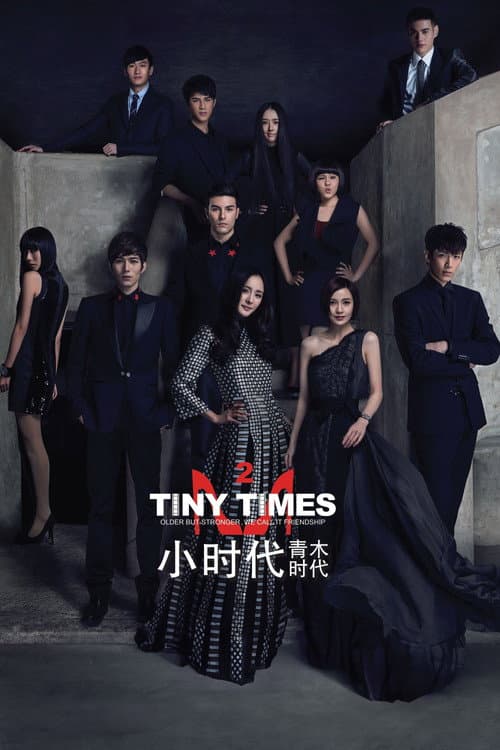 Xiao Shi Dai 2 (2013) poster