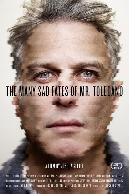 The Many Sad Fates of Mr. Toledano (2015) poster