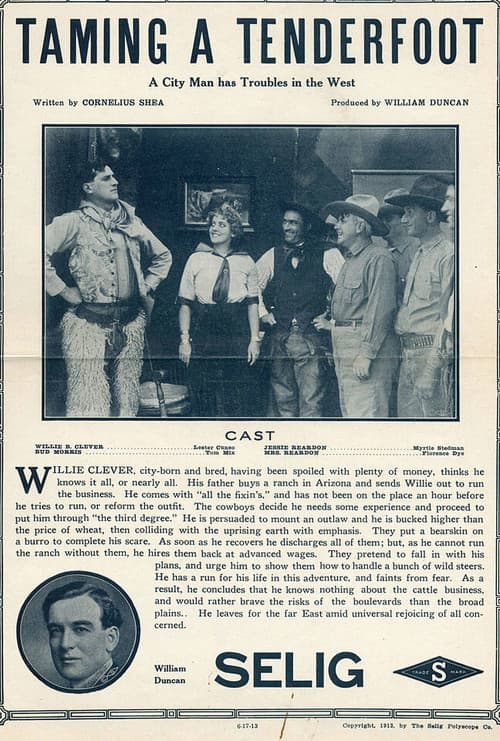 Taming a Tenderfoot (1913) poster