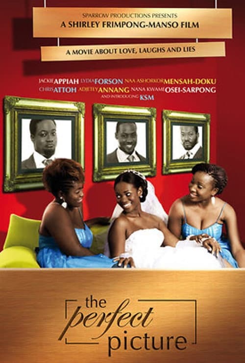 The Perfect Picture (2009) poster