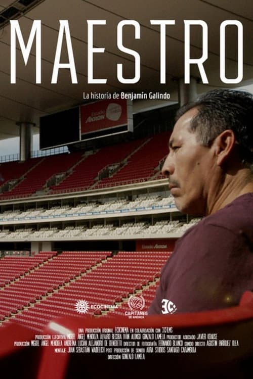 El Maestro: La película de Benjamín Galindo (2024) poster
