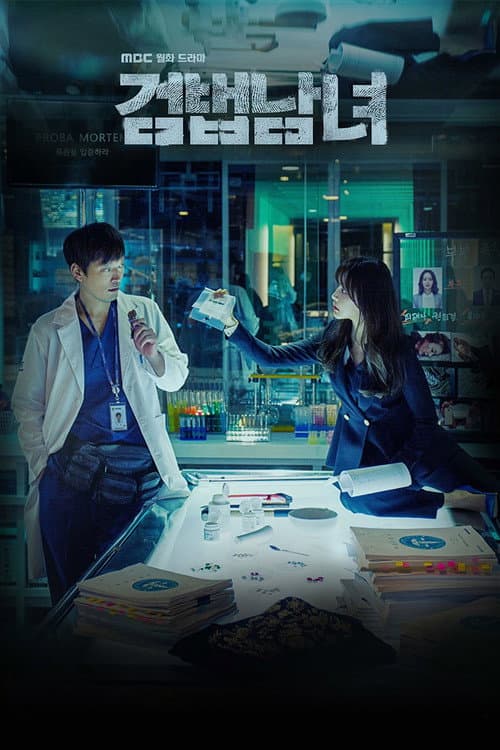 검법남녀 (2018) poster
