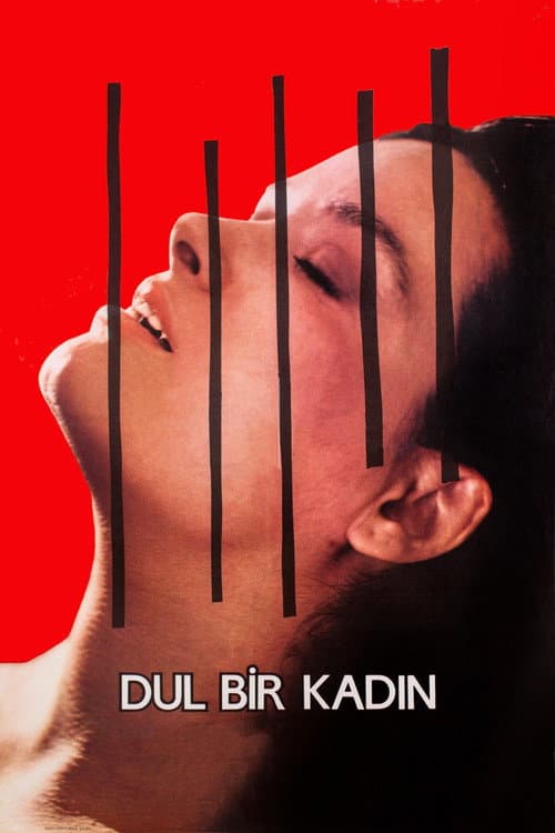 Dul Bir Kadın (1985) poster