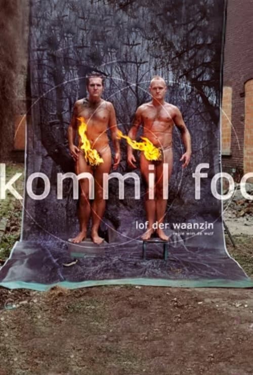 Kommil Foo - Lof Der Waanzin (2003) poster