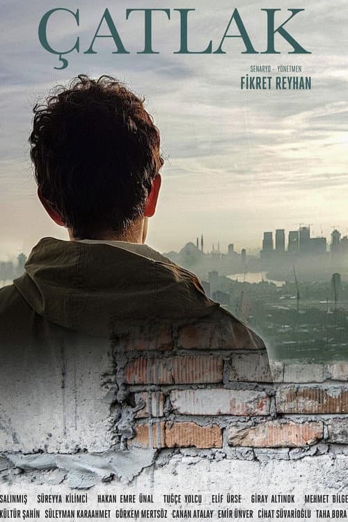 Çatlak (2020) poster