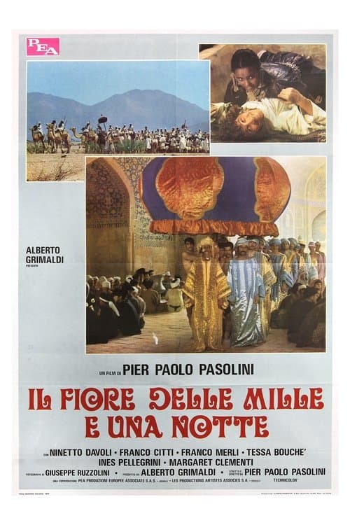 Il fiore delle Mille e una notte (1974) poster