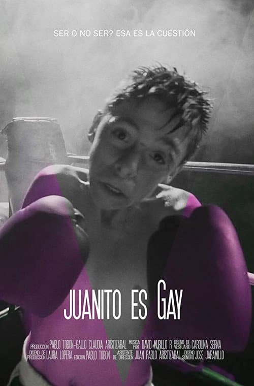 Juanito es gay (2016) poster