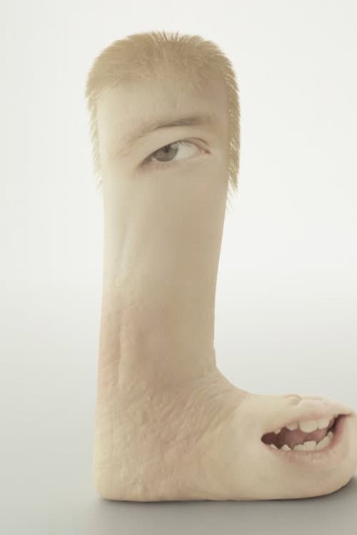 Human Flesh (2020) poster