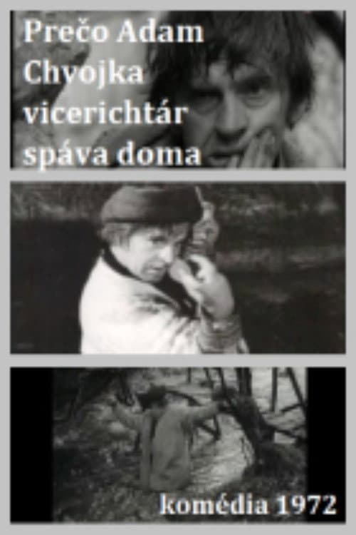 Adam Chvojka vicerichtár (1973) poster