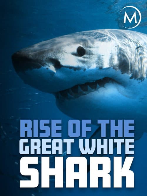 Rise Of The Great White Shark (2017) poster