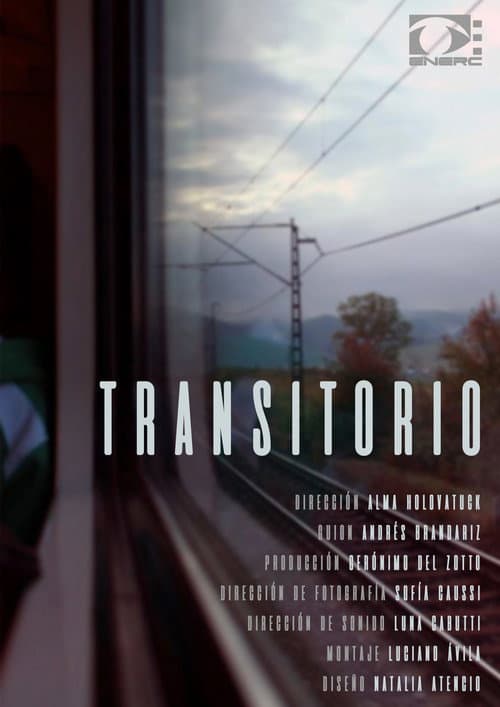 Transitorio (2019) poster