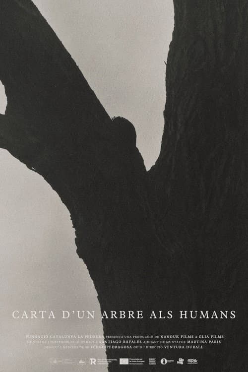 Carta d’un arbre als humans (2026) poster