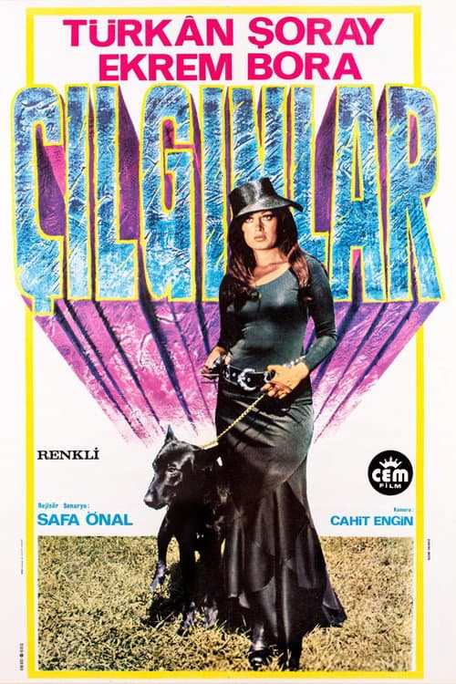 Çılgınlar (1974) poster