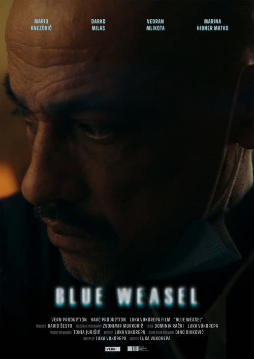 Plava lasica (2025) poster