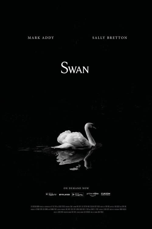 Swan (2020) poster