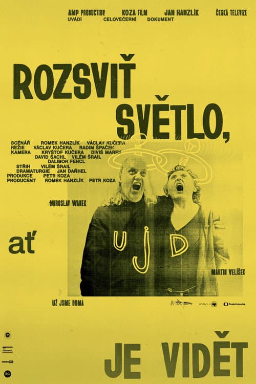 Rozsviť světlo, ať je vidět (2023) poster