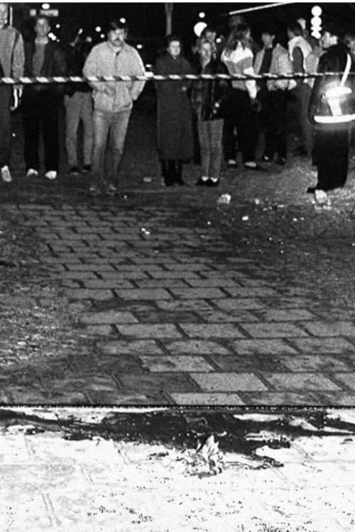 Murder in Stockholm (2001) poster