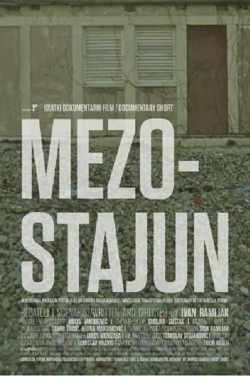 Mezostajun (2018) poster