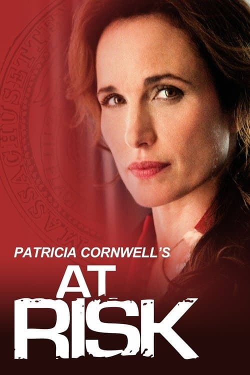 At Risk (2010) poster