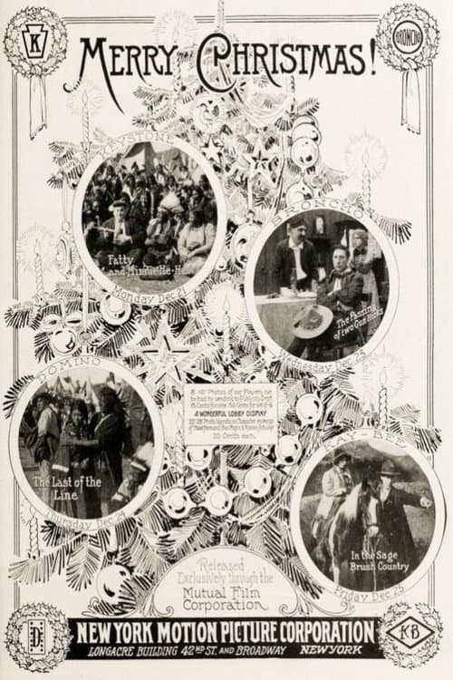 Two-Gun Hicks (1914) poster