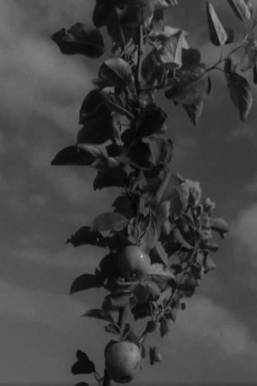 Ruhnu (1965) poster
