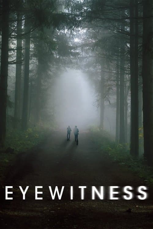 Eyewitness (2016) poster