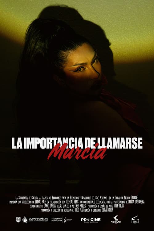 La Importancia de Llamarse Murcia (2026) poster