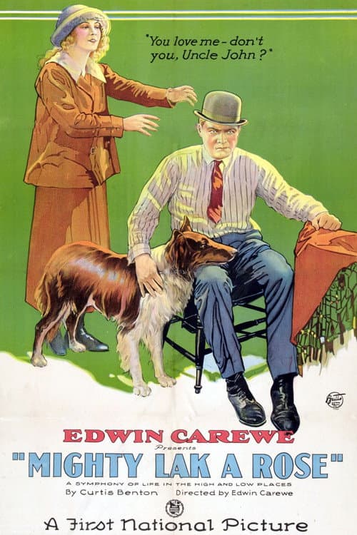 Mighty Lak' a Rose (1923) poster