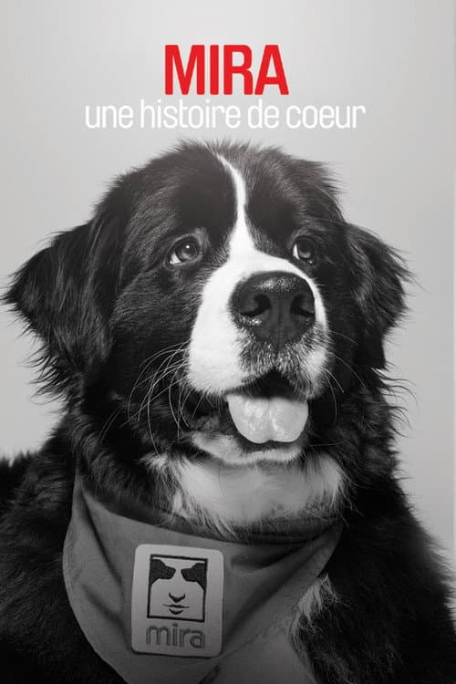 Mira, une histoire de cœur (2016) poster