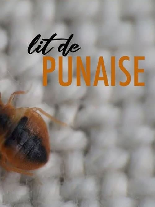 Lit de punaise (2019) poster