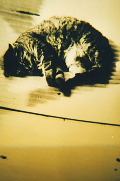 Animal Studies (1998) poster