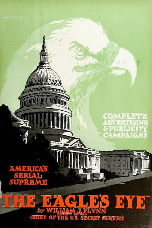 The Eagle's Eye (1918) poster