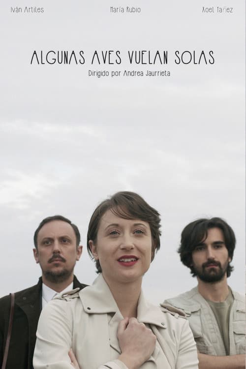 Algunas aves vuelan solas (2016) poster