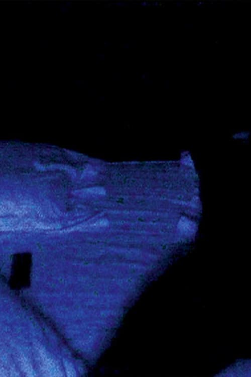 Illuminer (2001) poster