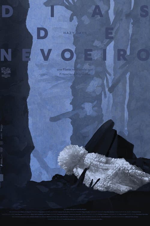 Dias de Nevoeiro (2023) poster