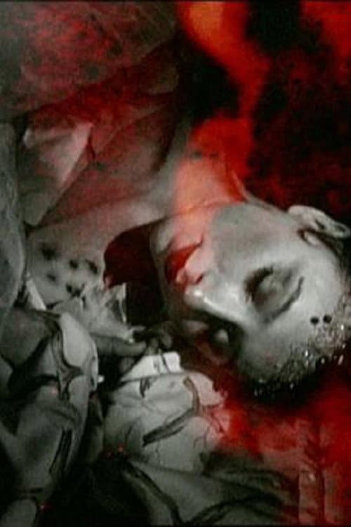 Shadows Choose Their Horrors (2005) poster