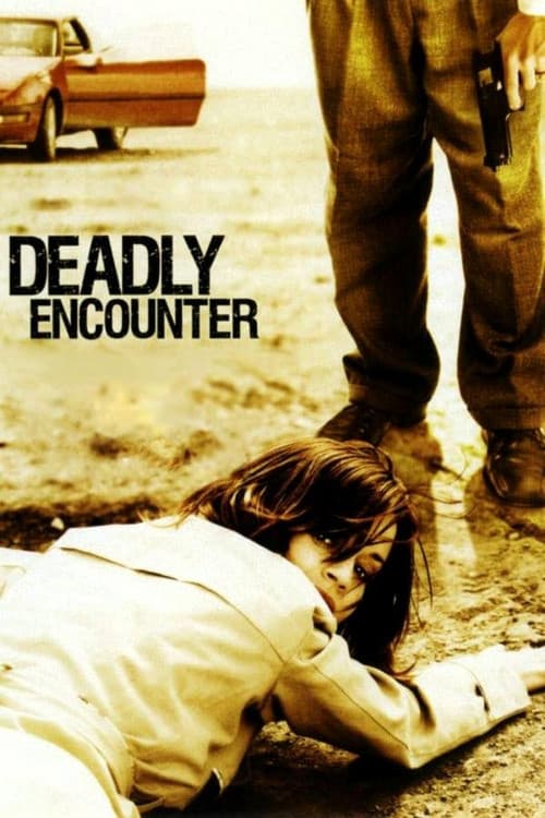 A Deadly Encounter (2004) poster