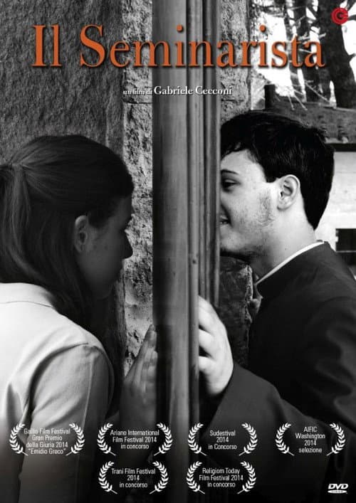 Il Seminarista (2013) poster