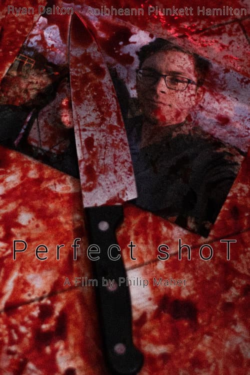 Perfect shoT (2025) poster