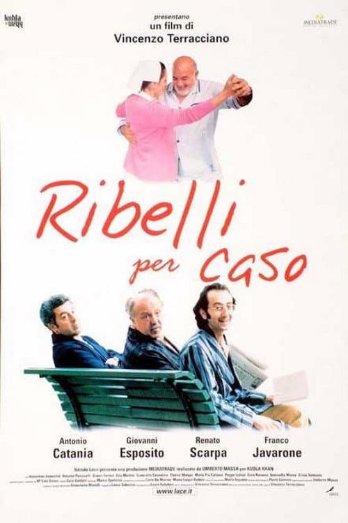 Ribelli per caso (2000) poster