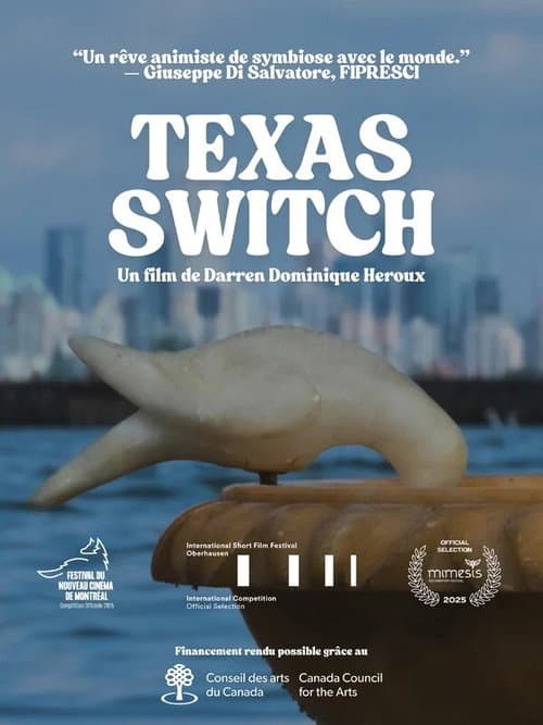 Texas Switch (2025) poster