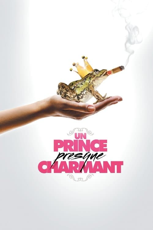Un Prince (presque) charmant (2013) poster