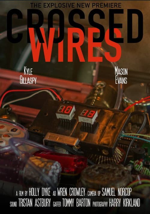 Crossed Wires (2025) poster