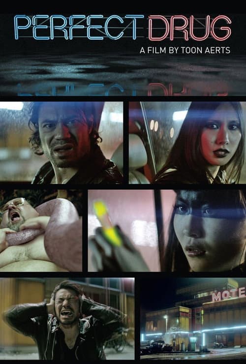 Perfect Drug (2012) poster